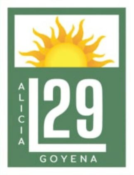 Liceo 29 Alicia Goyena